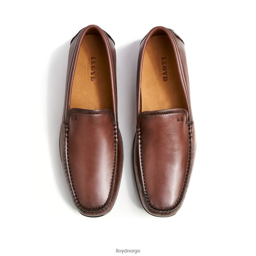 LLOYD emilio menn sko brun 4X82ZP618