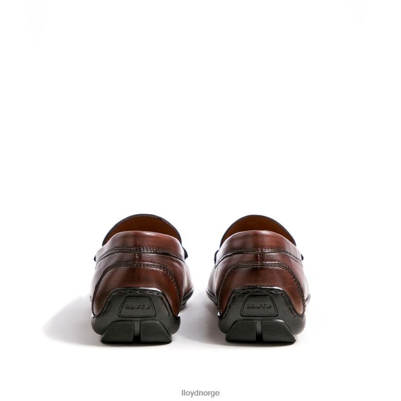 LLOYD emilio menn sko brun 4X82ZP618