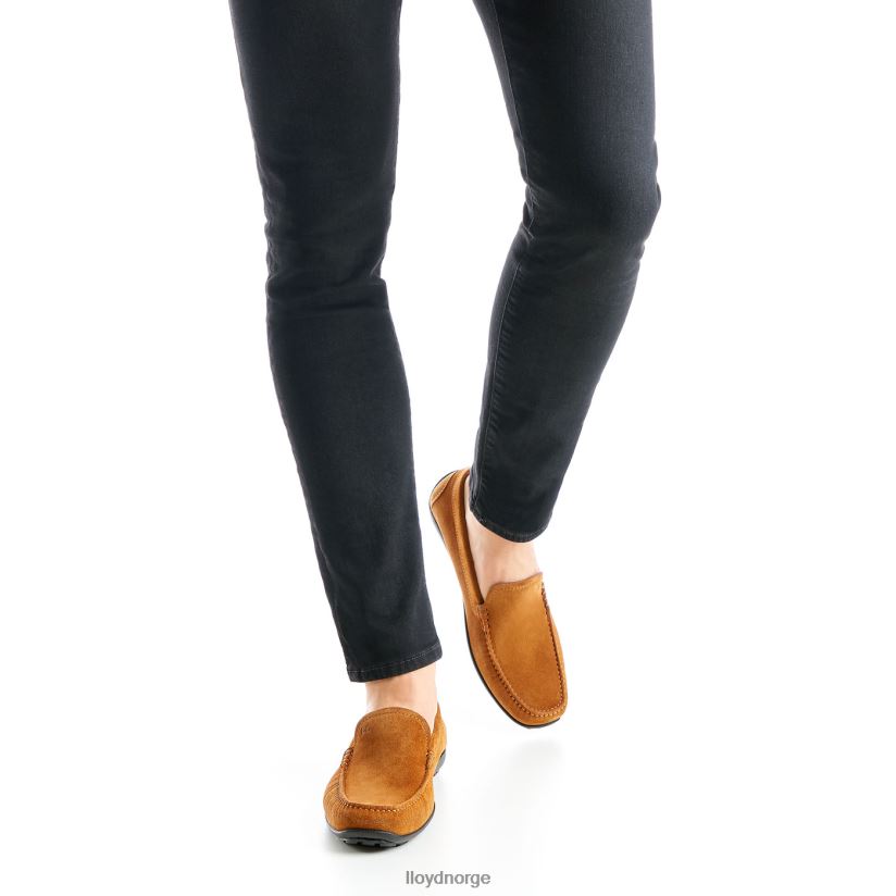 LLOYD emilio menn sko brun 4X82ZP620