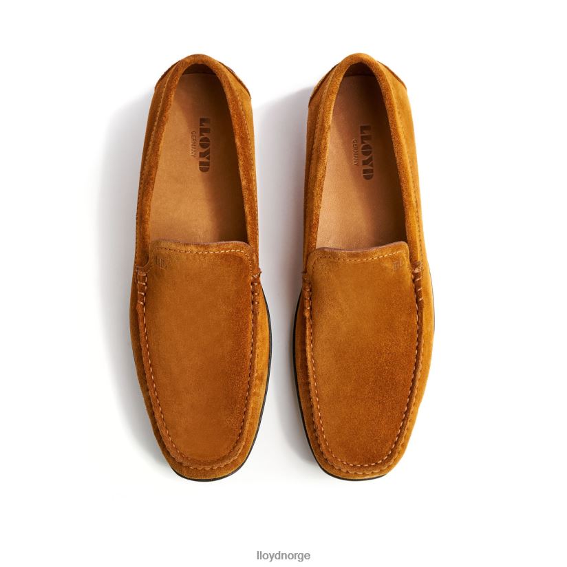 LLOYD emilio menn sko brun 4X82ZP620