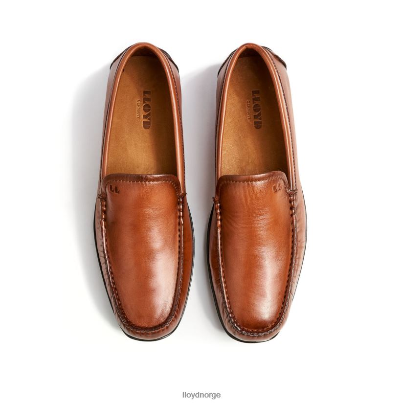 LLOYD emilio menn sko brun 4X82ZP621