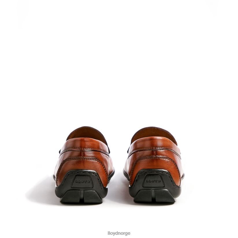 LLOYD emilio menn sko brun 4X82ZP621