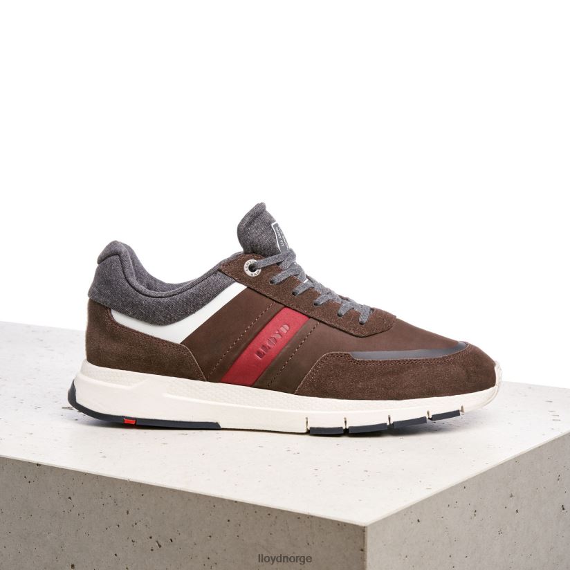LLOYD ennio menn sko brun 4X82ZP352