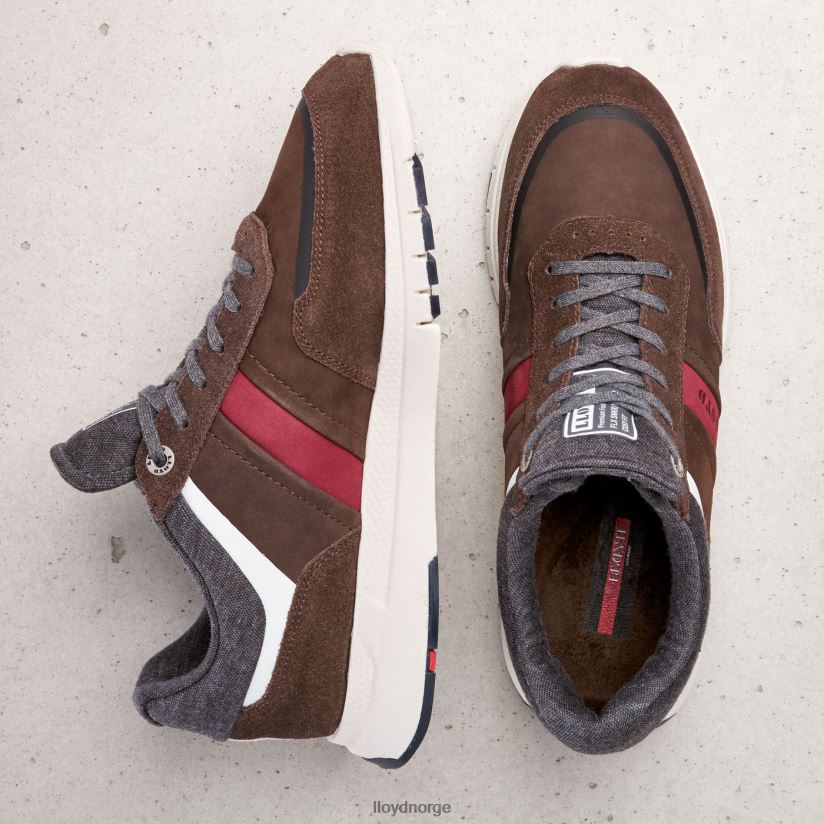 LLOYD ennio menn sko brun 4X82ZP352