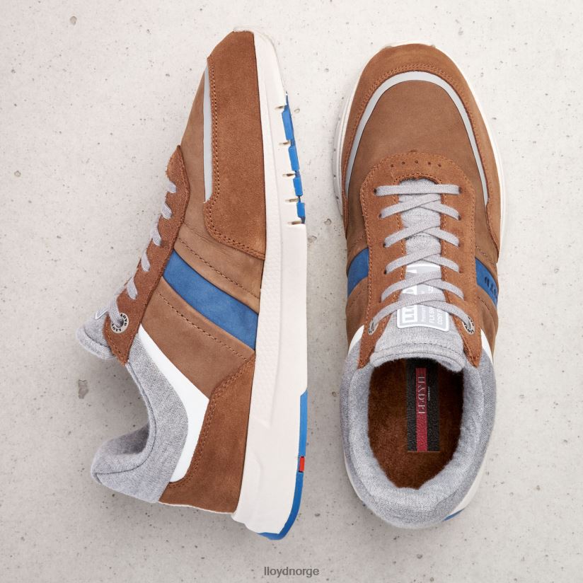 LLOYD ennio menn sko brun 4X82ZP379