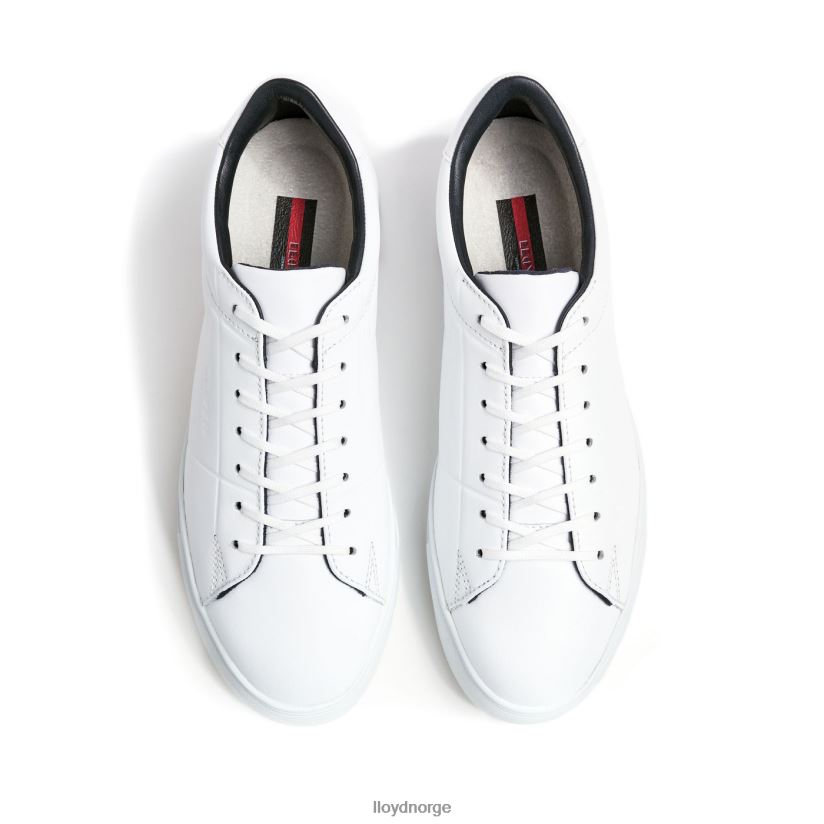 LLOYD enrico menn sko hvit 4X82ZP312