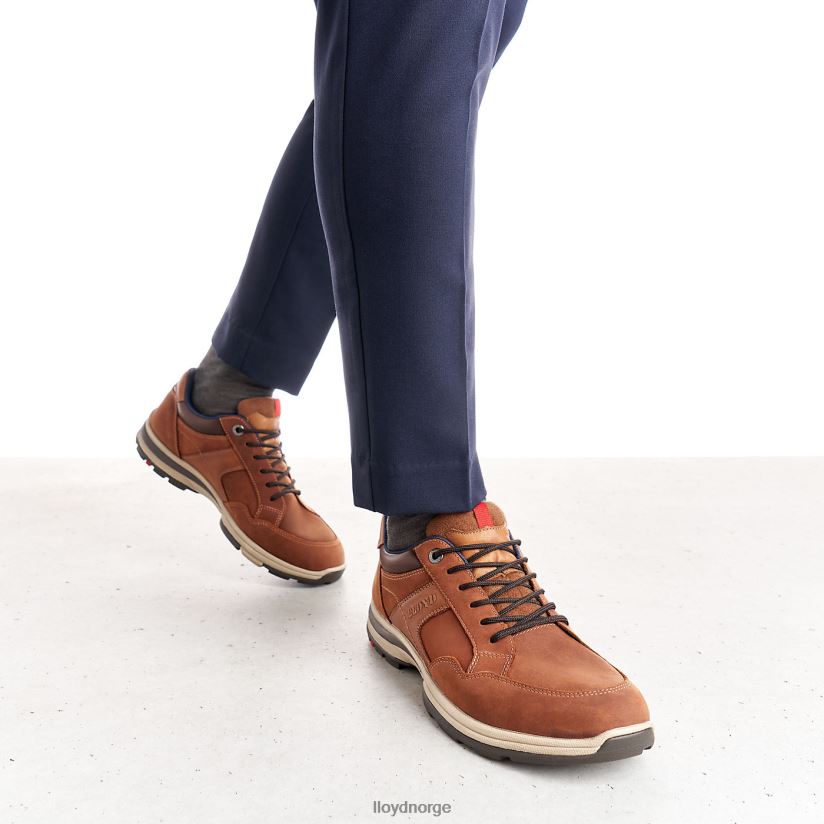 LLOYD ensor menn sko brun 4X82ZP394