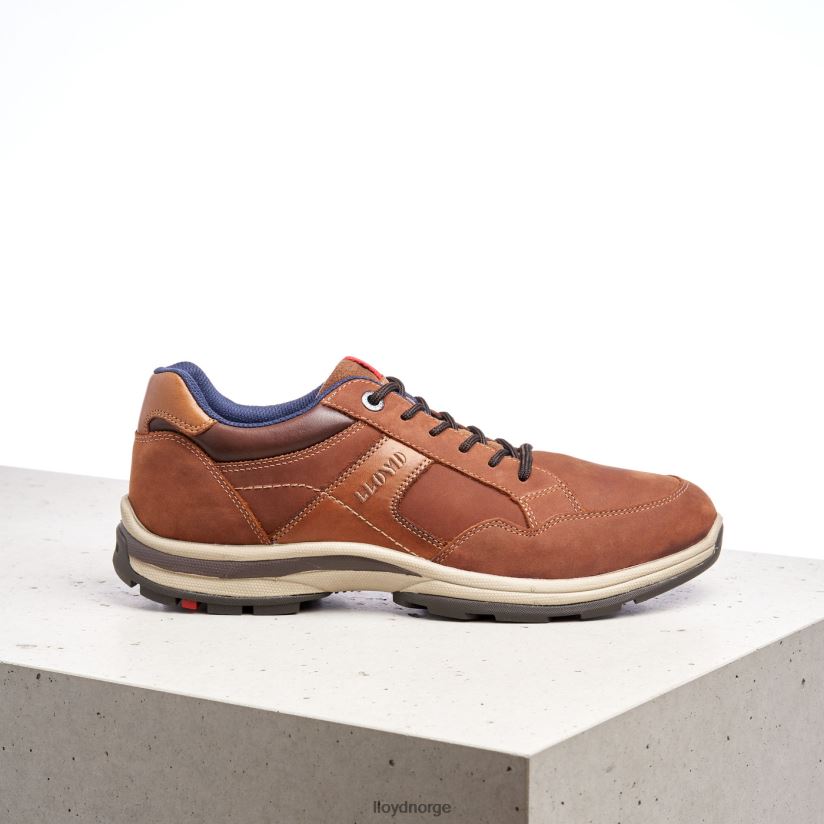 LLOYD ensor menn sko brun 4X82ZP394