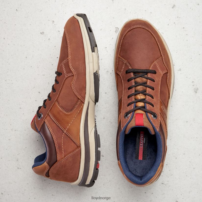 LLOYD ensor menn sko brun 4X82ZP394