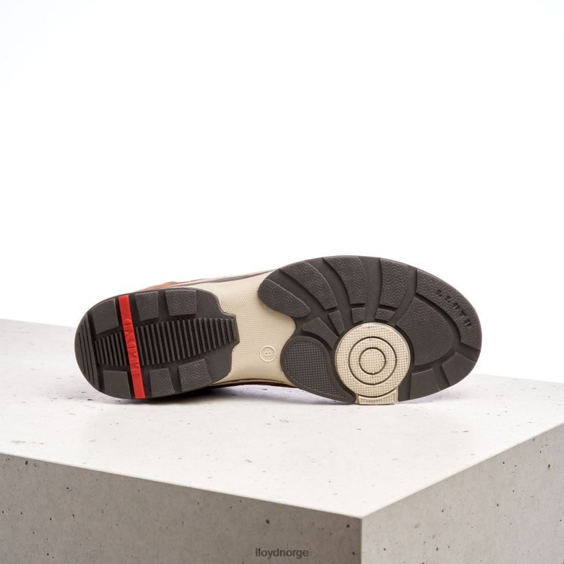 LLOYD ensor menn sko brun 4X82ZP394