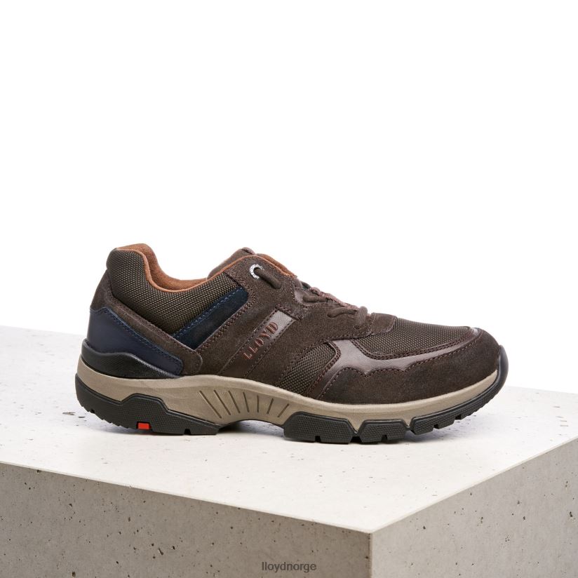 LLOYD erco menn sko brun 4X82ZP361