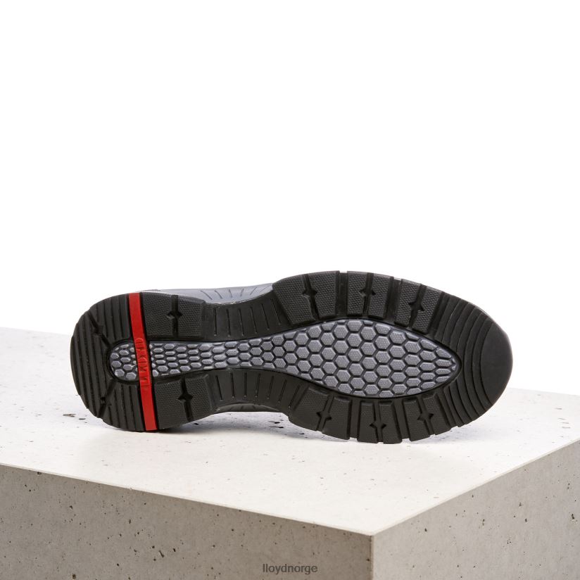 LLOYD erco menn sko grå 4X82ZP343