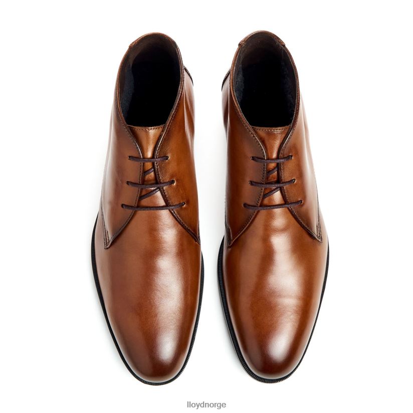 LLOYD feliciano menn sko brun 4X82ZP54