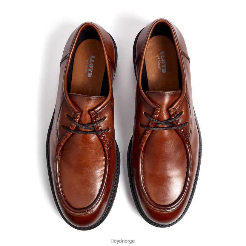 LLOYD felipe menn sko brun 4X82ZP137