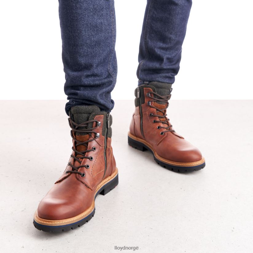 LLOYD flavio menn sko brun 4X82ZP506