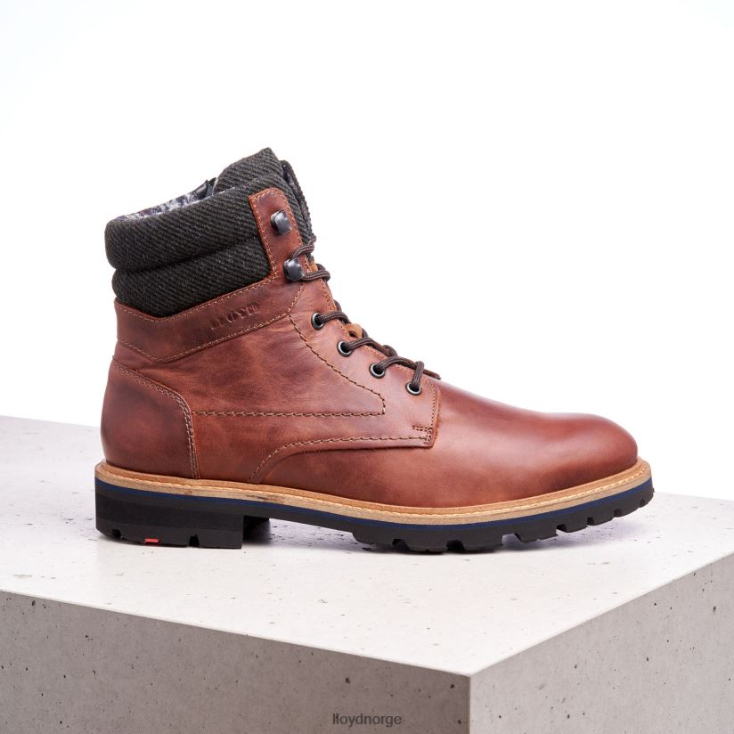 LLOYD flavio menn sko brun 4X82ZP506