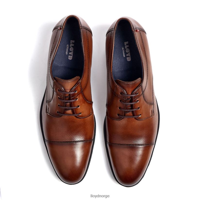 LLOYD folco menn sko brun 4X82ZP15