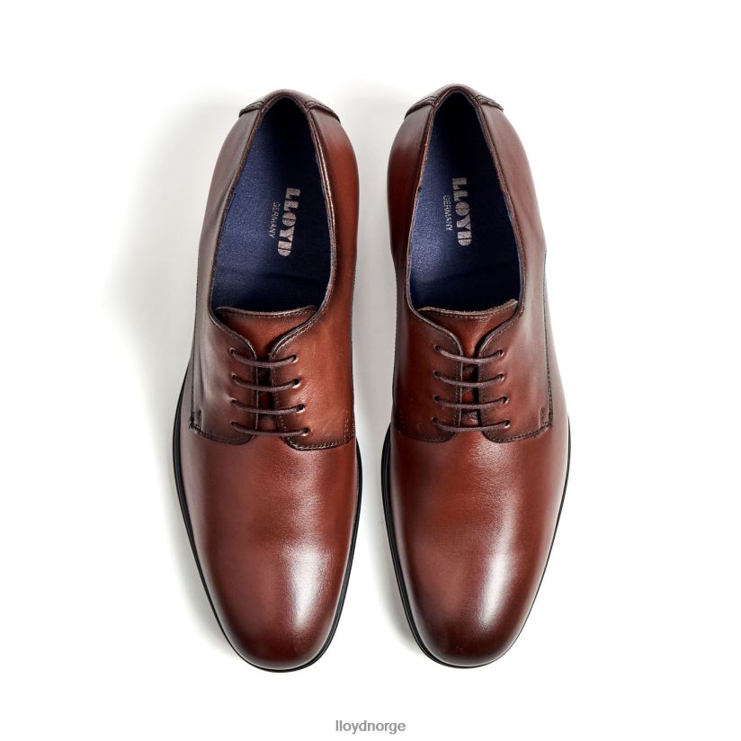 LLOYD fonda menn sko brun 4X82ZP13