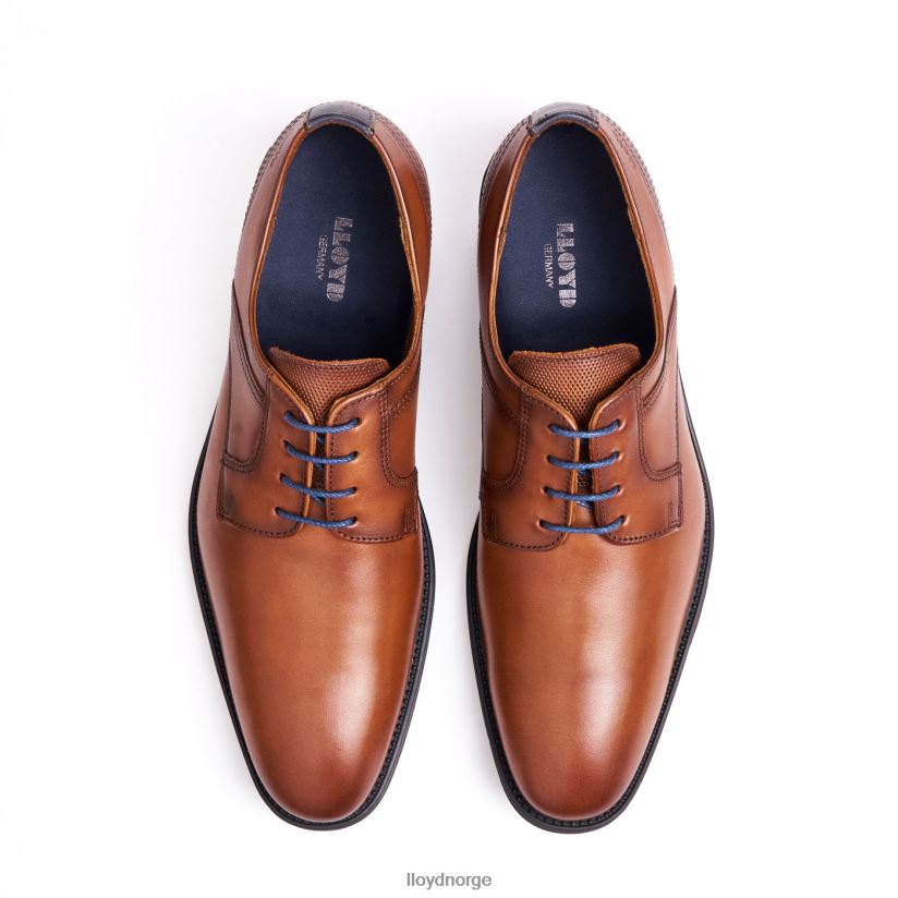 LLOYD galla menn sko brun 4X82ZP102