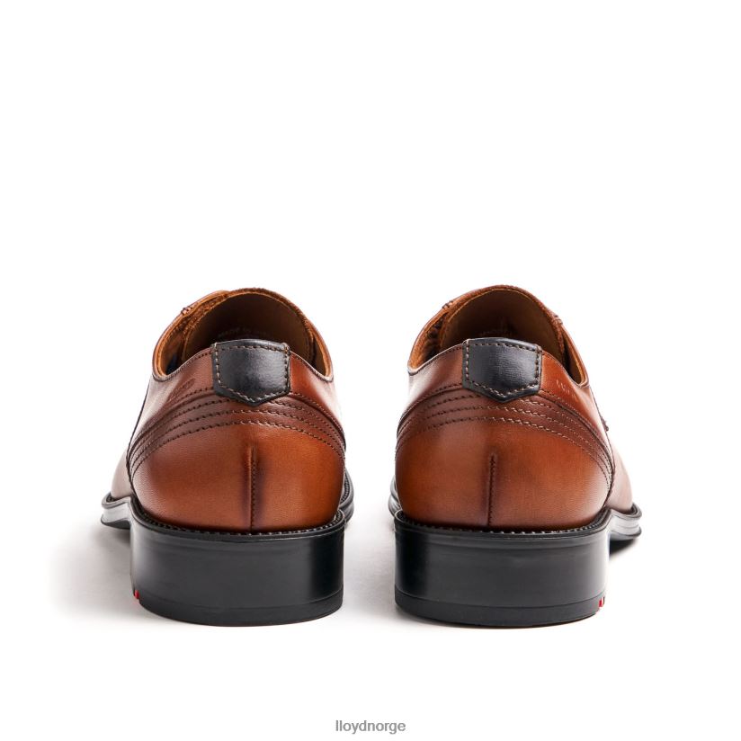 LLOYD galla menn sko brun 4X82ZP102