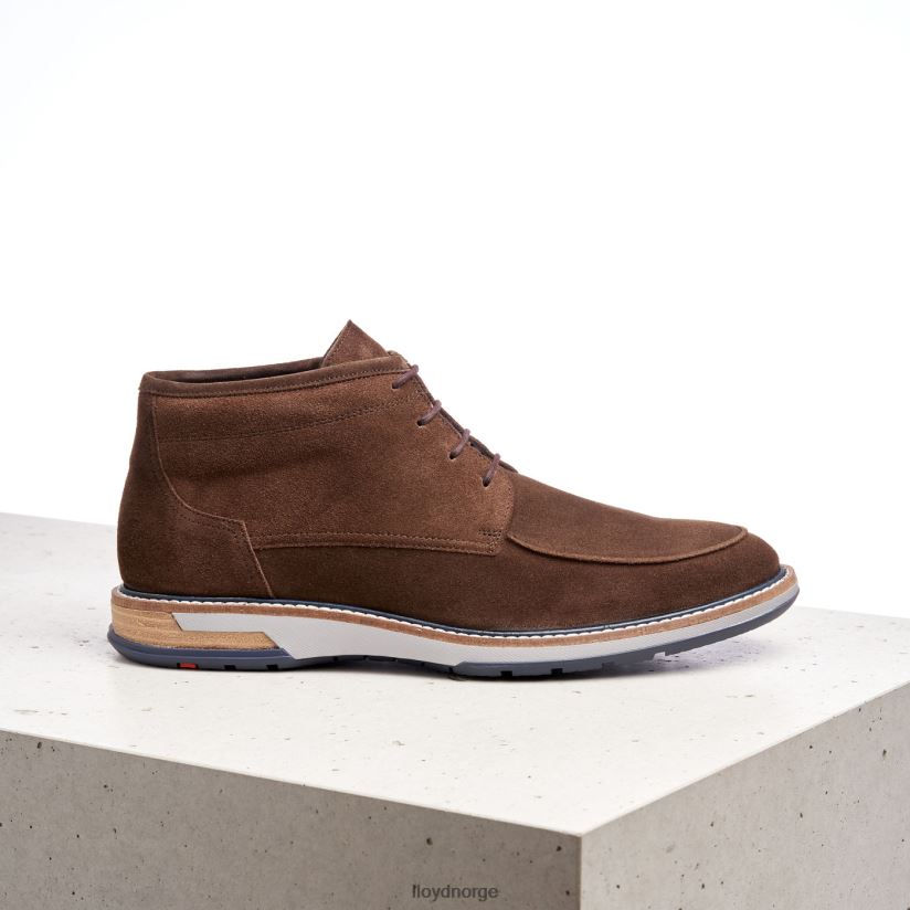 LLOYD gianni menn sko brun 4X82ZP555