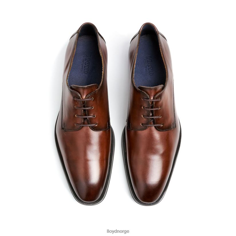 LLOYD gideon menn sko brun 4X82ZP3