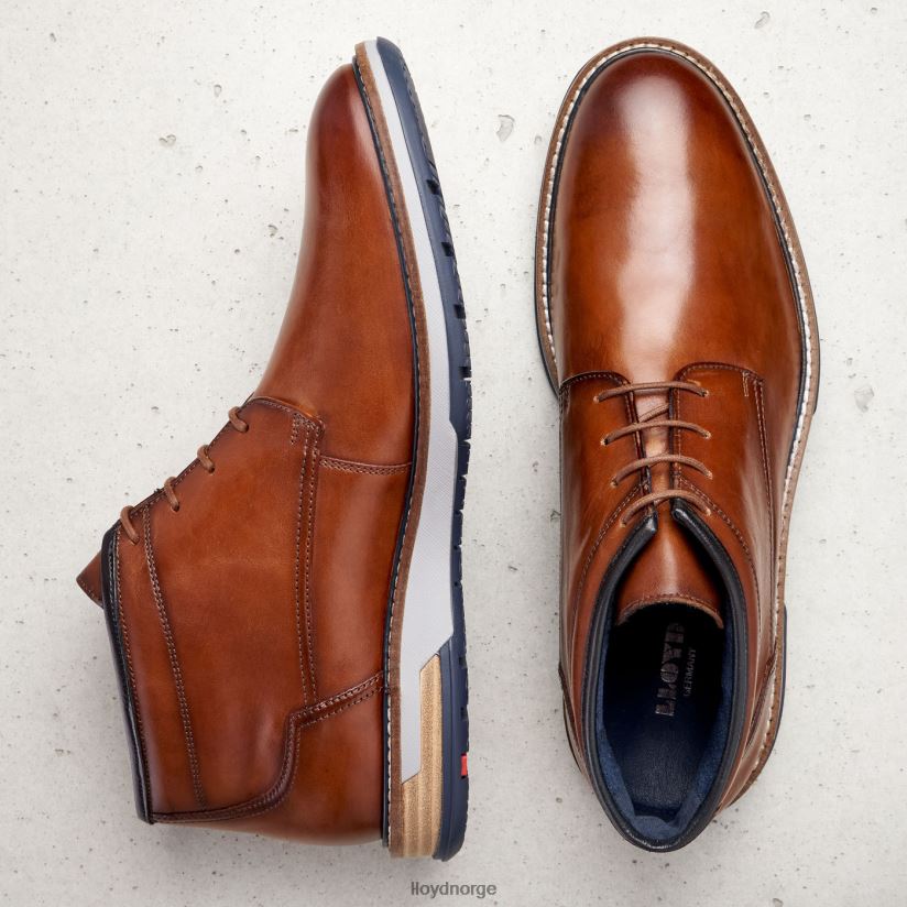 LLOYD gijon menn sko brun 4X82ZP556