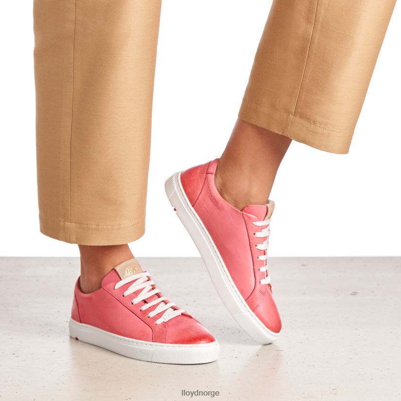 LLOYD glatte skinnsko kvinner sko rosa 4X82ZP842