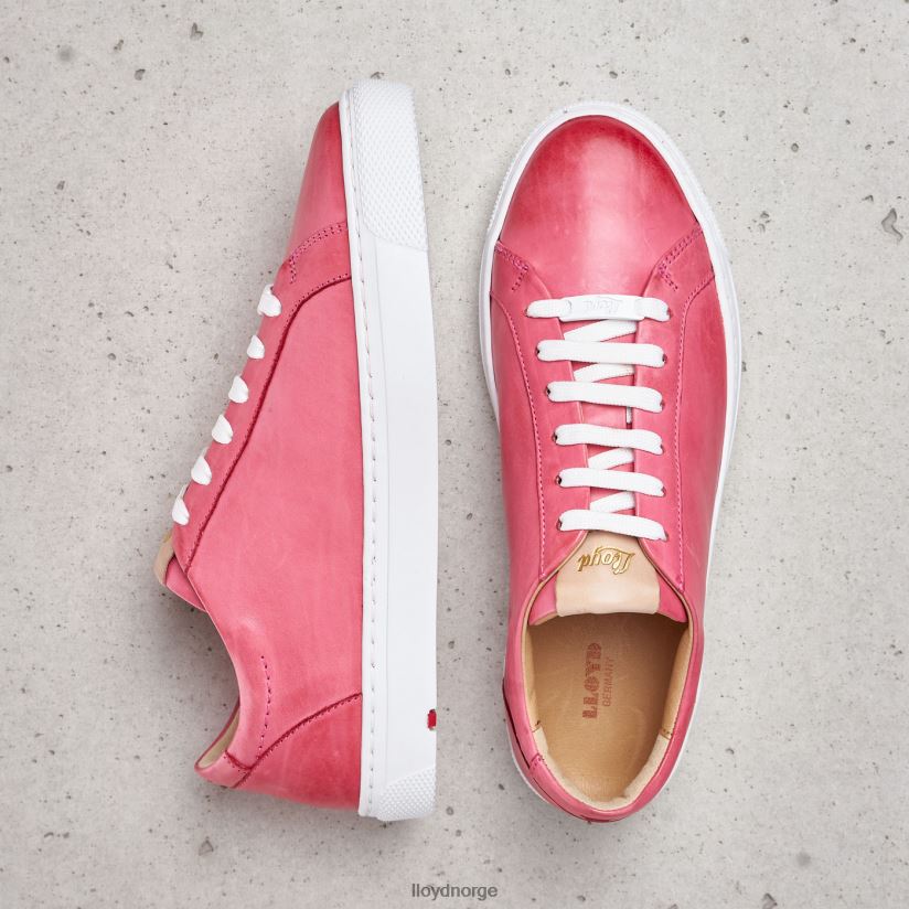 LLOYD glatte skinnsko kvinner sko rosa 4X82ZP842