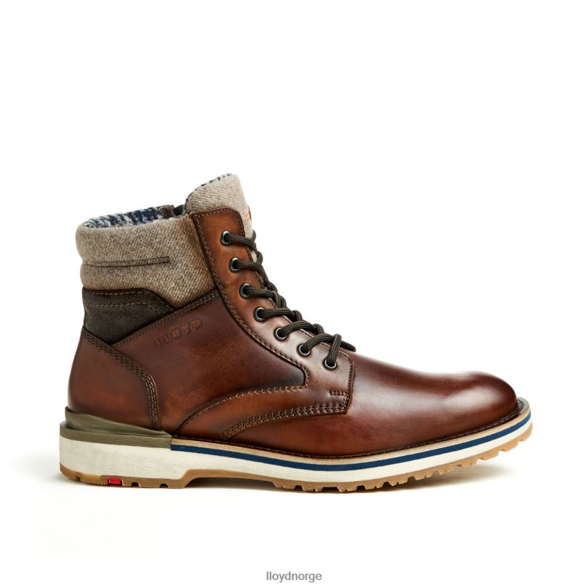 LLOYD glenn menn sko brun 4X82ZP482