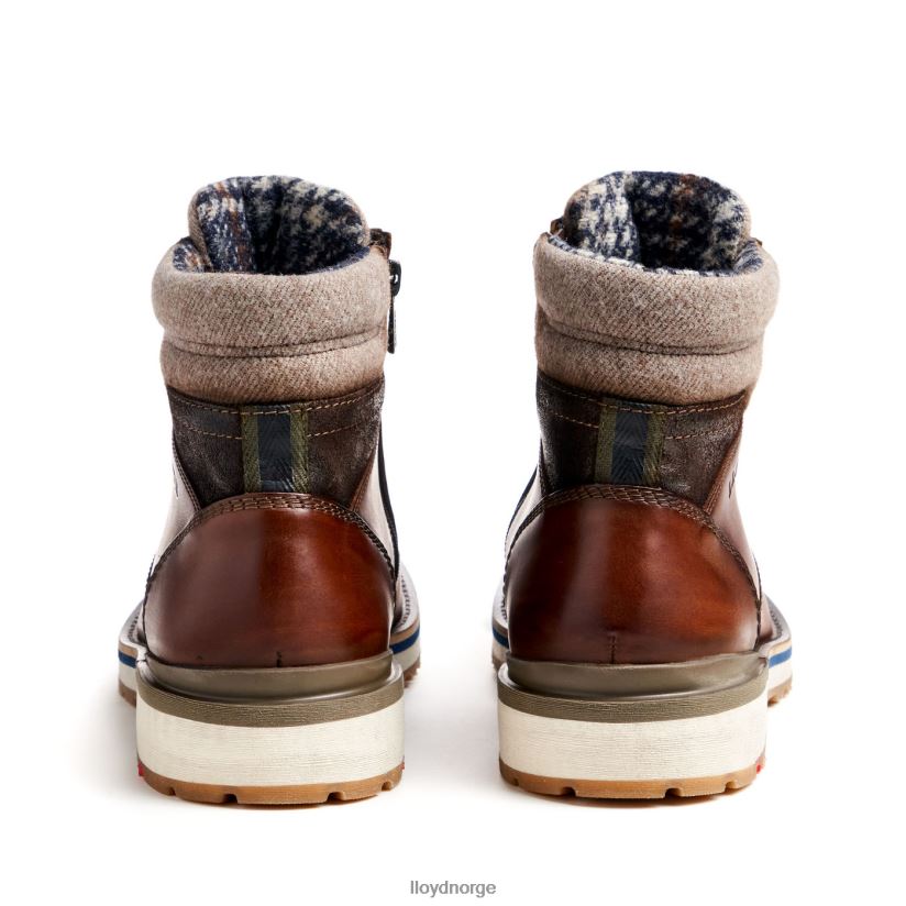 LLOYD glenn menn sko brun 4X82ZP482