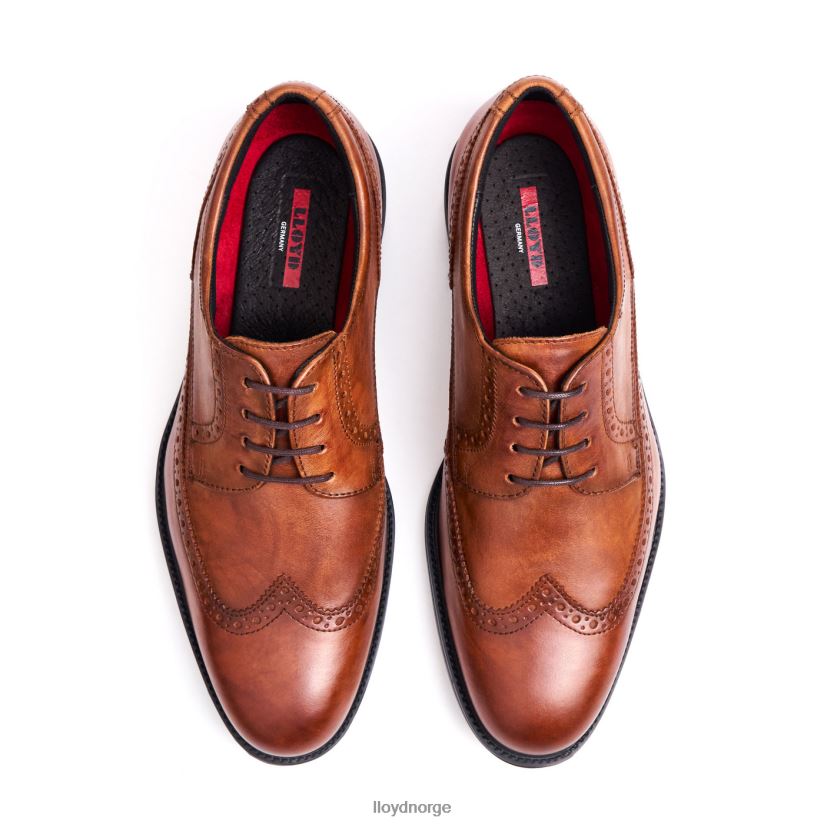 LLOYD grønnkål (ekstra bred) menn sko brun 4X82ZP20