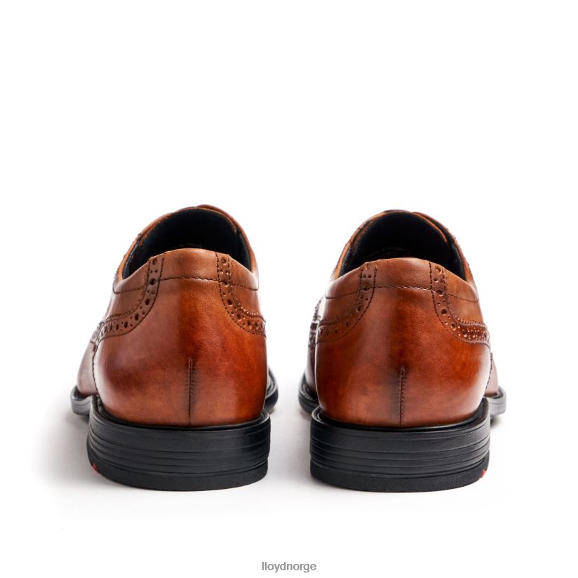 LLOYD grønnkål (ekstra bred) menn sko brun 4X82ZP20