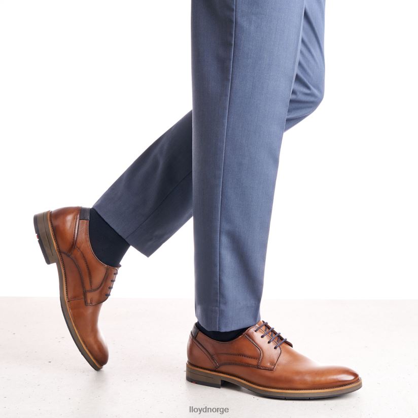 LLOYD haldan menn sko brun 4X82ZP172