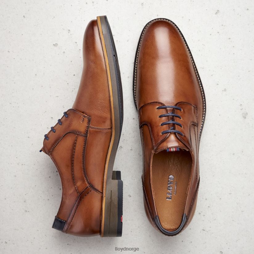 LLOYD haldan menn sko brun 4X82ZP172