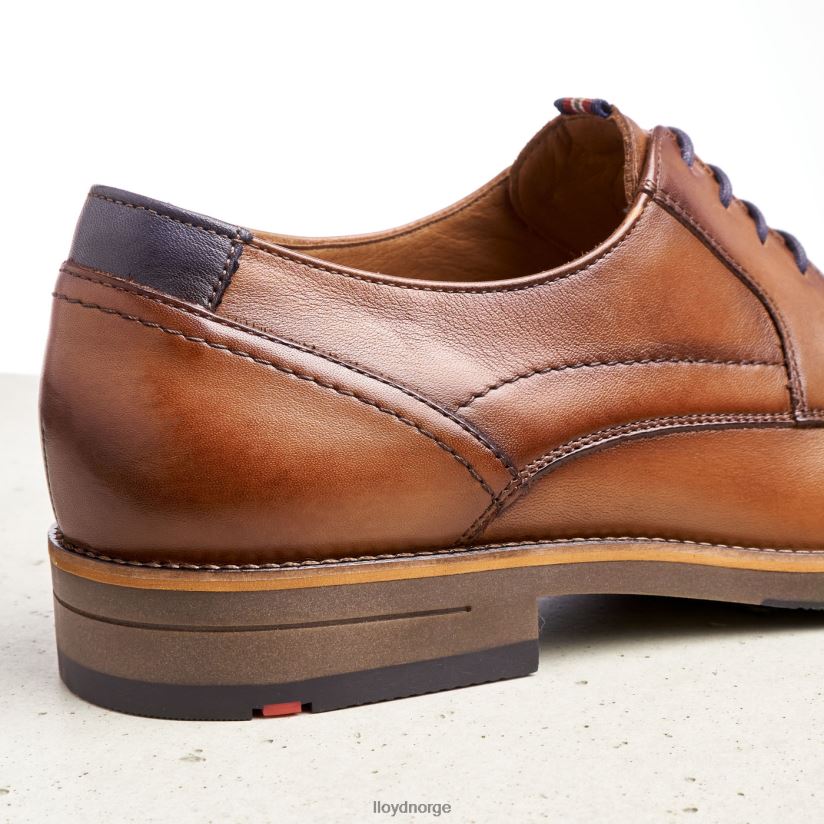 LLOYD haldan menn sko brun 4X82ZP172