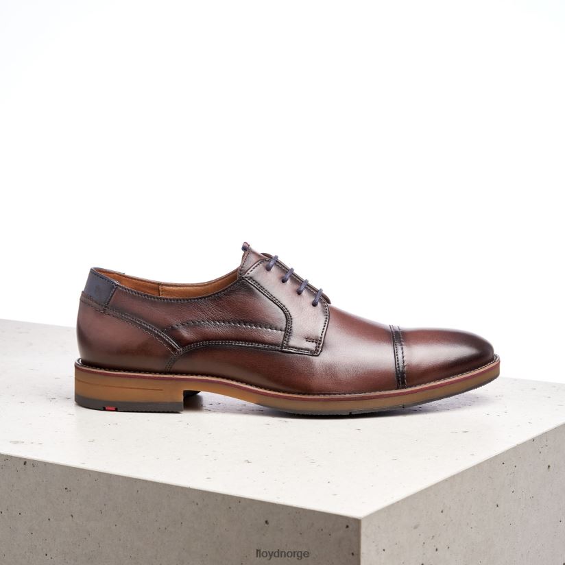 LLOYD harper menn sko brun 4X82ZP176