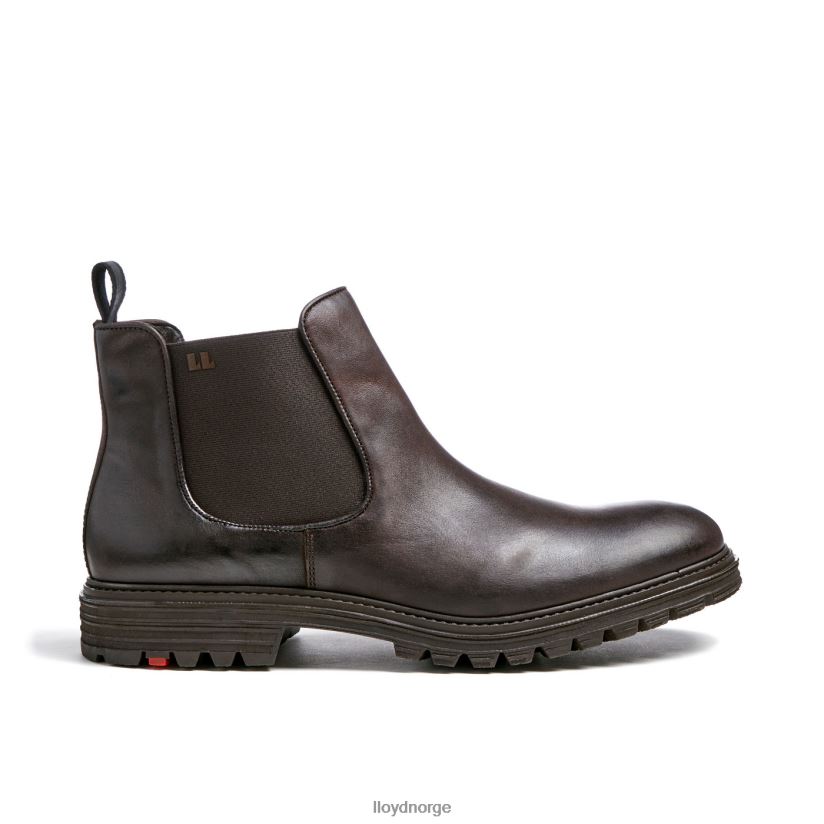 LLOYD harwich menn sko brun 4X82ZP478