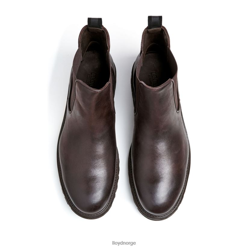 LLOYD harwich menn sko brun 4X82ZP478