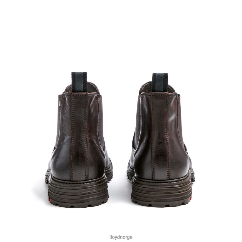 LLOYD harwich menn sko brun 4X82ZP478