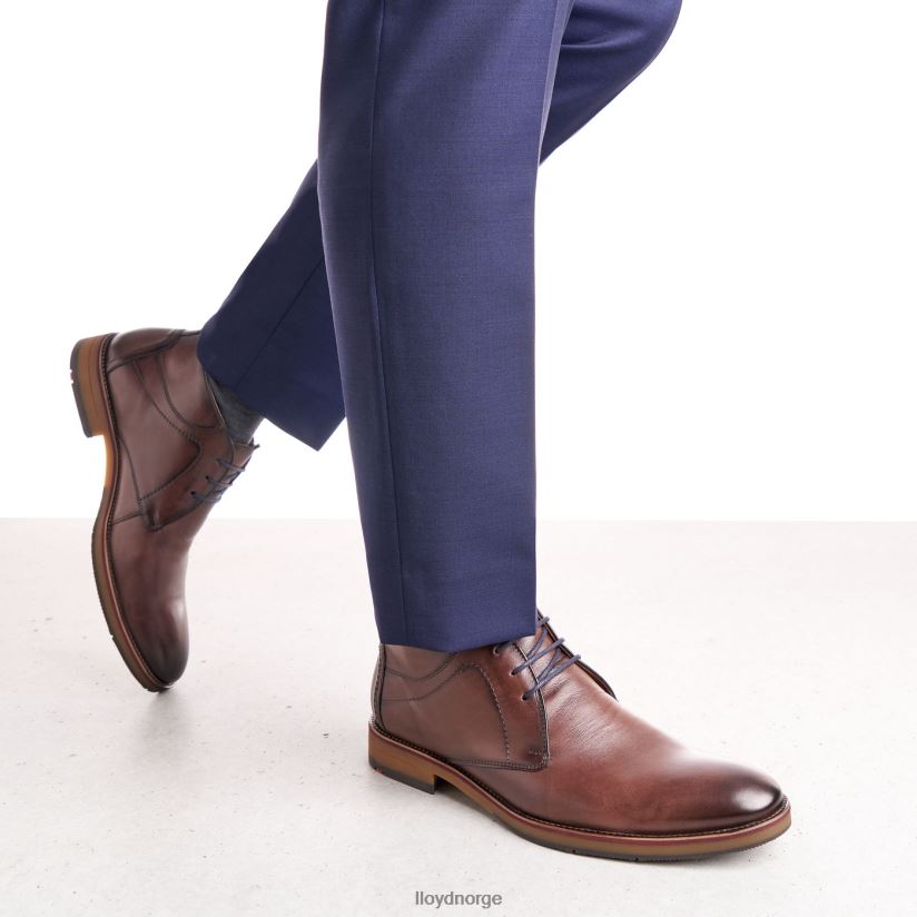 LLOYD hastings menn sko brun 4X82ZP566