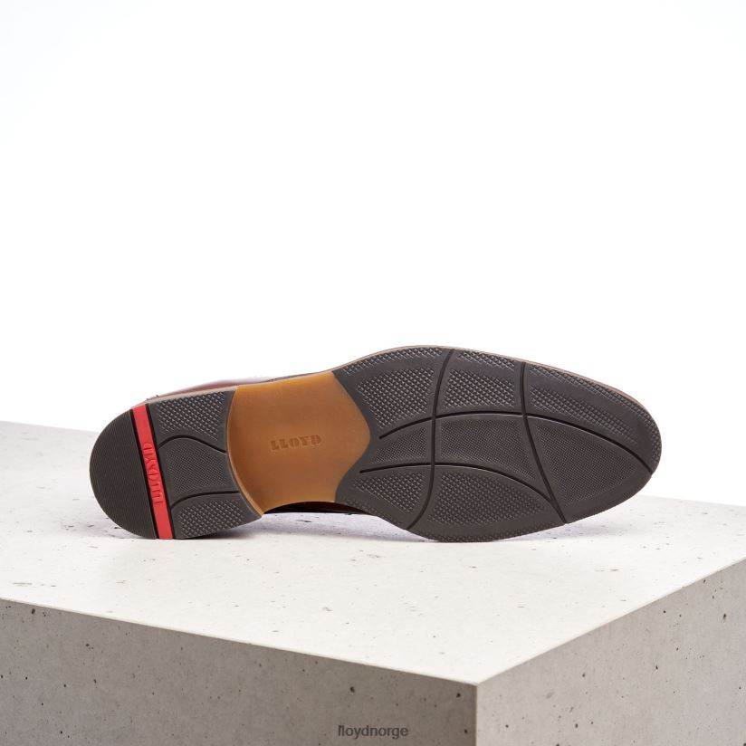LLOYD hastings menn sko brun 4X82ZP566