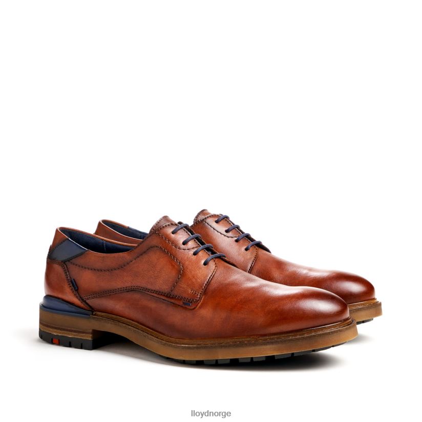 LLOYD helsinki menn sko brun 4X82ZP586