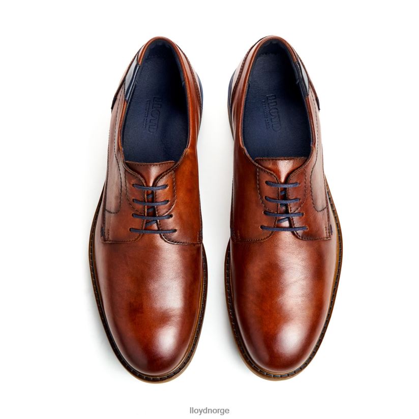 LLOYD helsinki menn sko brun 4X82ZP586