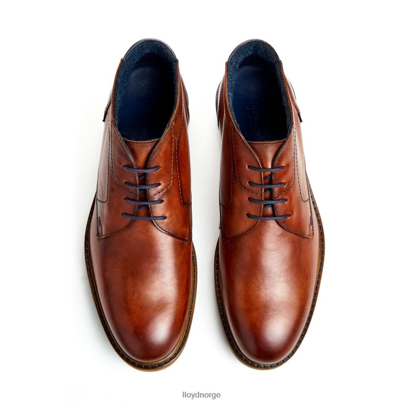 LLOYD hengelo menn sko brun 4X82ZP463