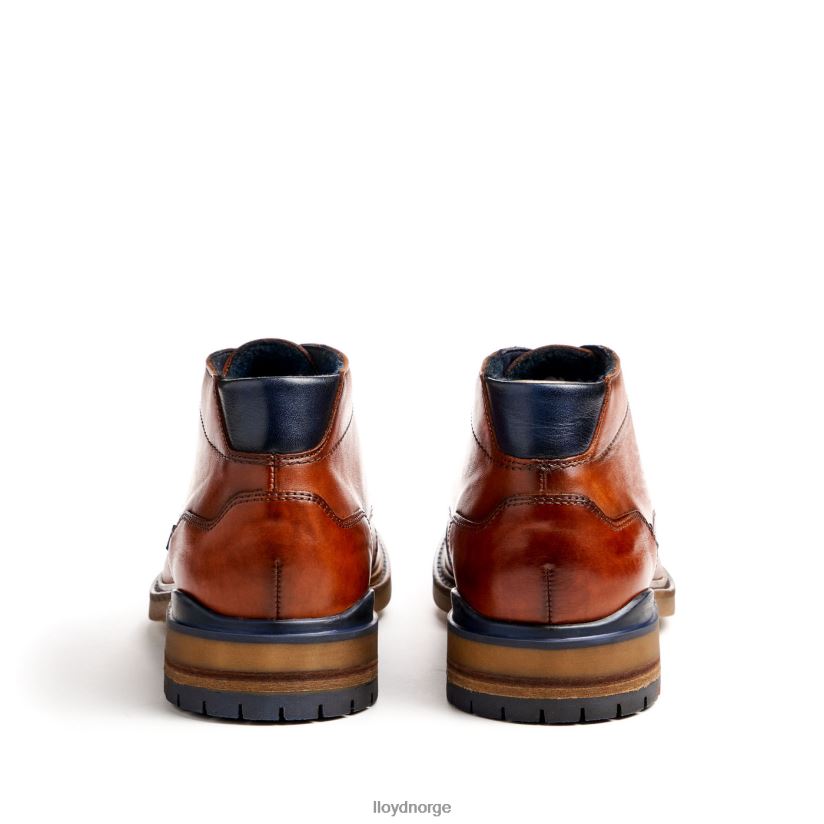 LLOYD hengelo menn sko brun 4X82ZP463