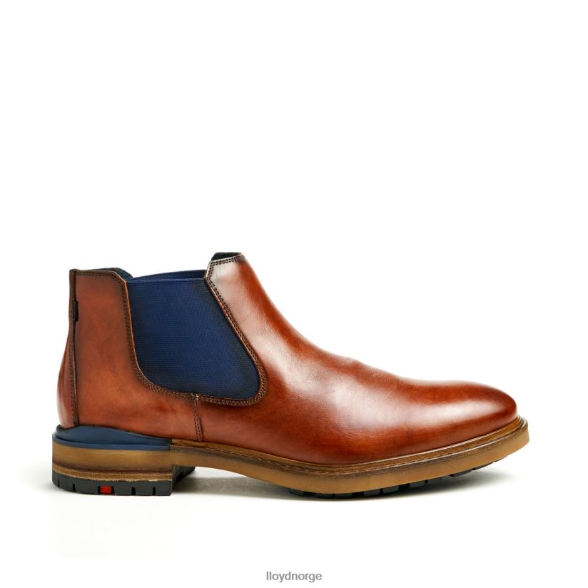 LLOYD henry menn sko brun 4X82ZP464