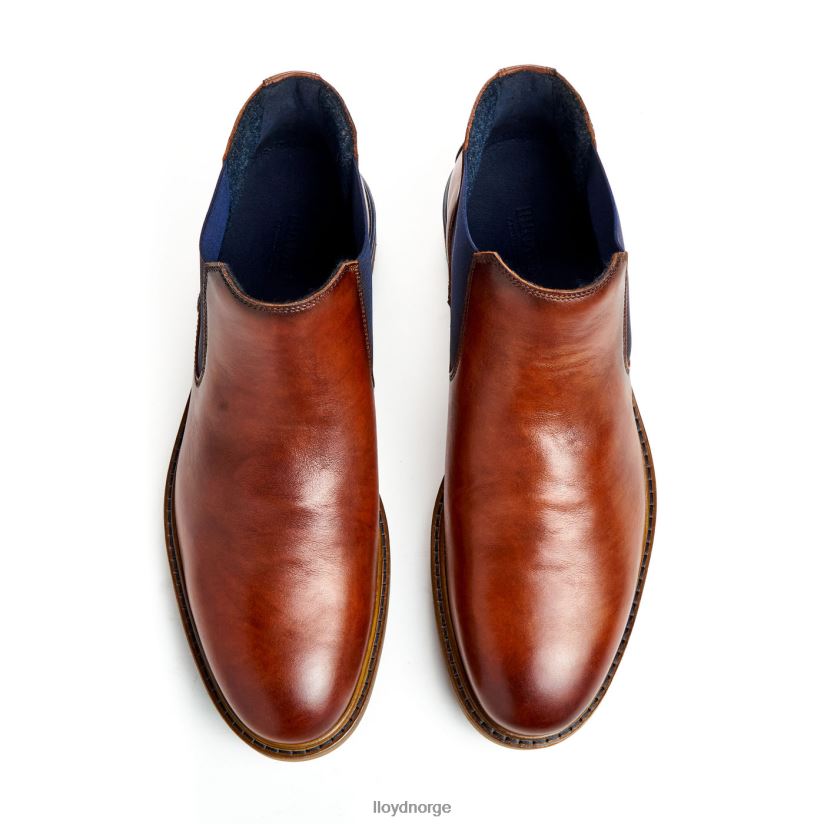 LLOYD henry menn sko brun 4X82ZP464