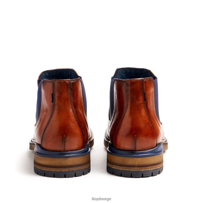 LLOYD henry menn sko brun 4X82ZP464