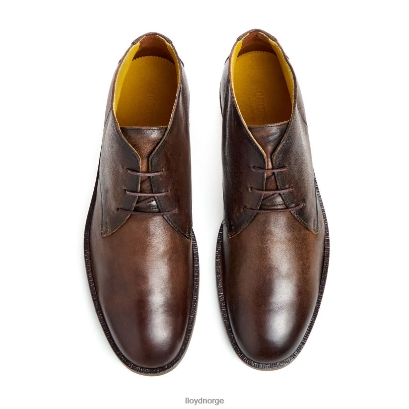 LLOYD hertug menn sko brun 4X82ZP43